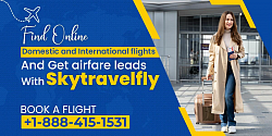 Book Airline Flight Tickets - Skytravelfly