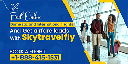 Book Airline Plane Tickets - Skytravelfly