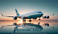 Skytravelfly